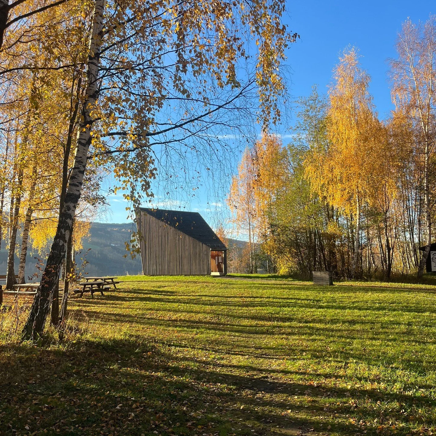 Lågendelta Fuglekikkertårn ligger i et av Lillehammers nærturområde og skal gi et tilbud til alle, både turgåere og særlig fugleinteresserte, som ønsker å oppleve fuglelivet i Lågendeltaet