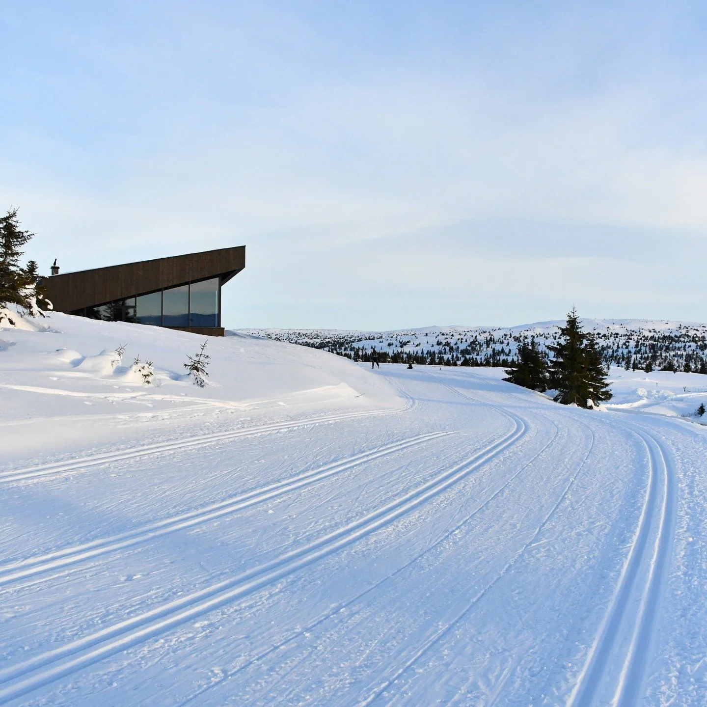 Viltslakteriet ligger lavt i terrenget s&oslash;r for Pellestova og inneholder slakteri, butikk og restaurant.

Den skr&aring;stilte takskiven snakker fint med det sm&aring;kuperte landskapet og sm&aring;skalabebyggelsen i omr&aring;det. Bygget skift