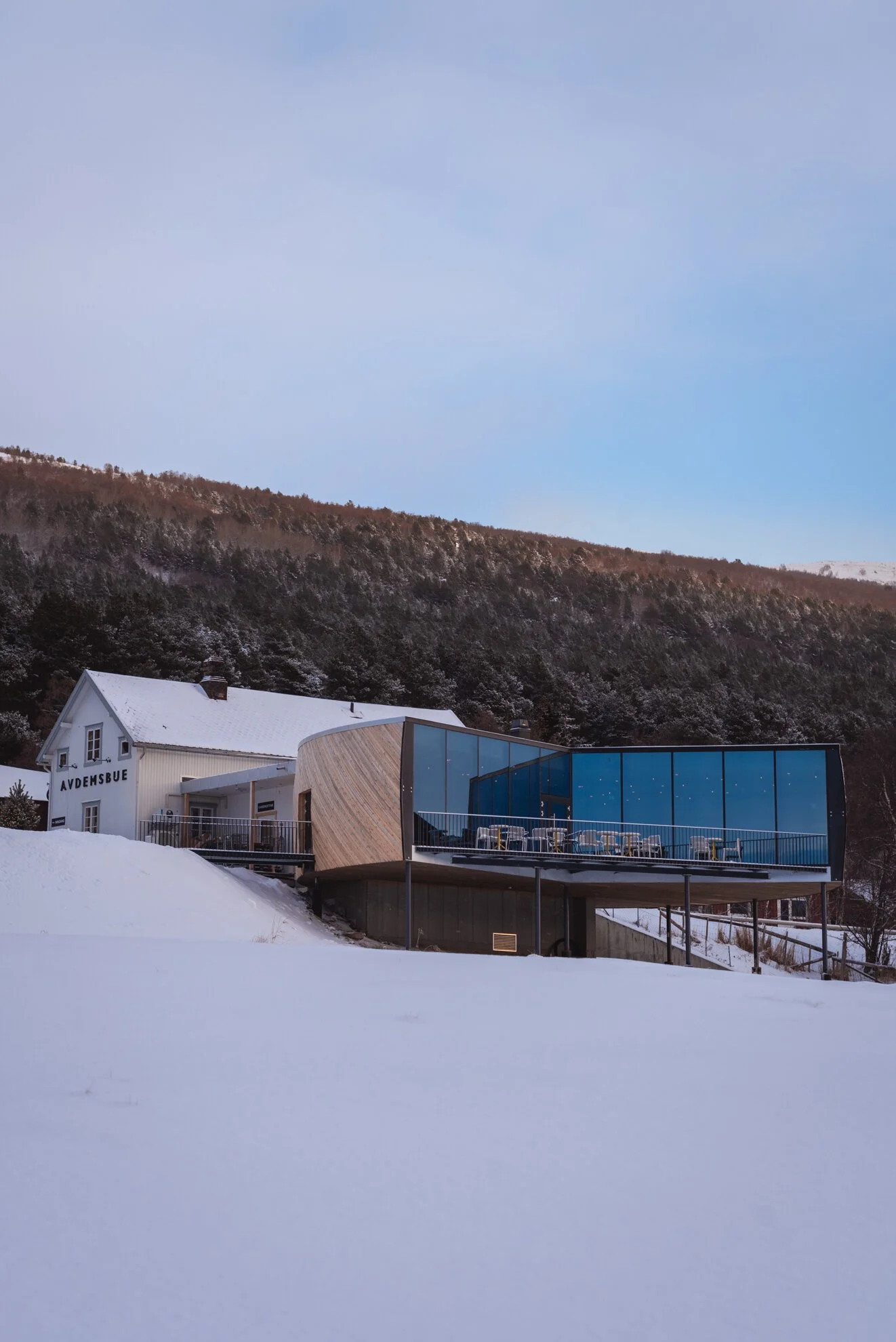 AVDEMSBUE CAFÉ OG UTSALGSBYGNING - LESJA