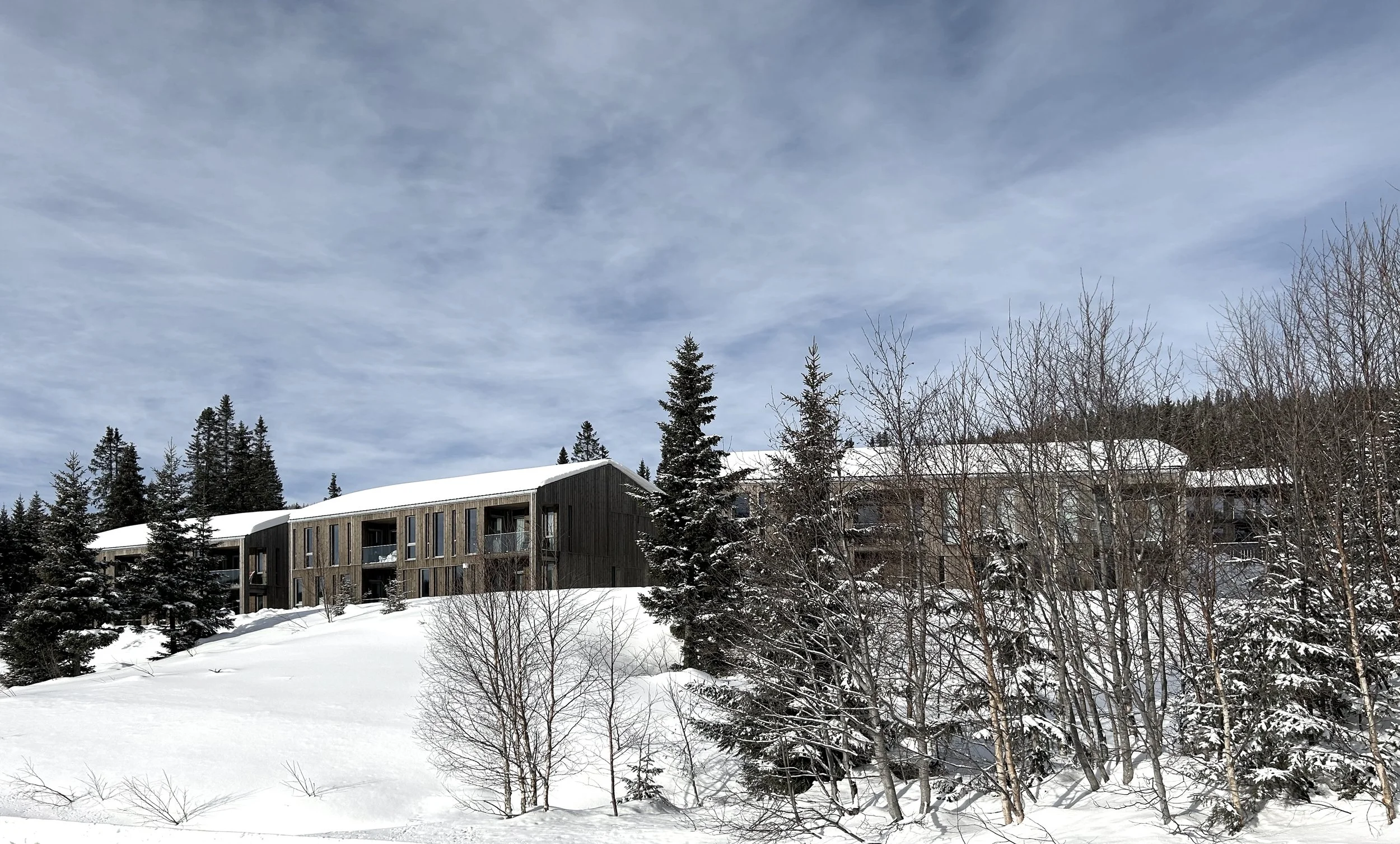 SEGELSTADSETERLIA - KVITFJELL