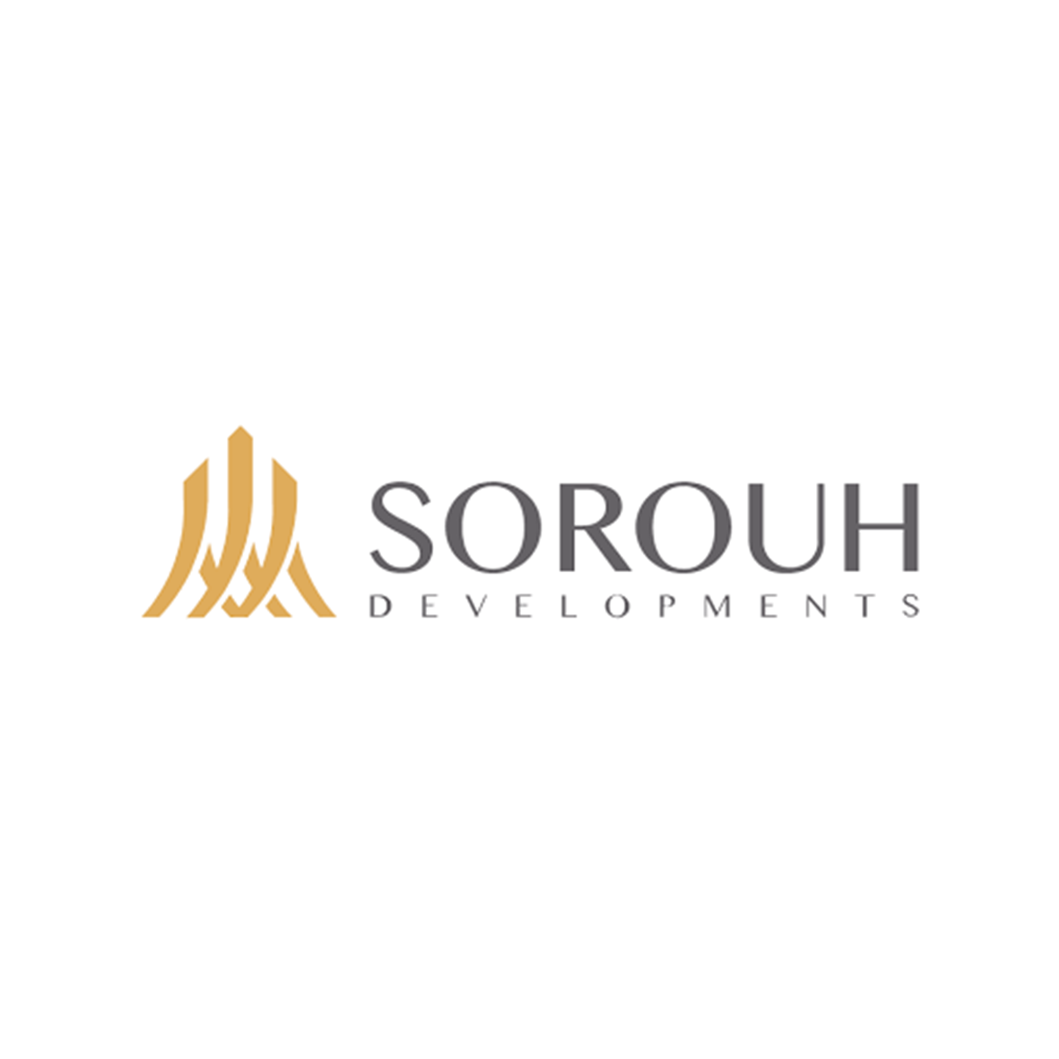 sorouh.png
