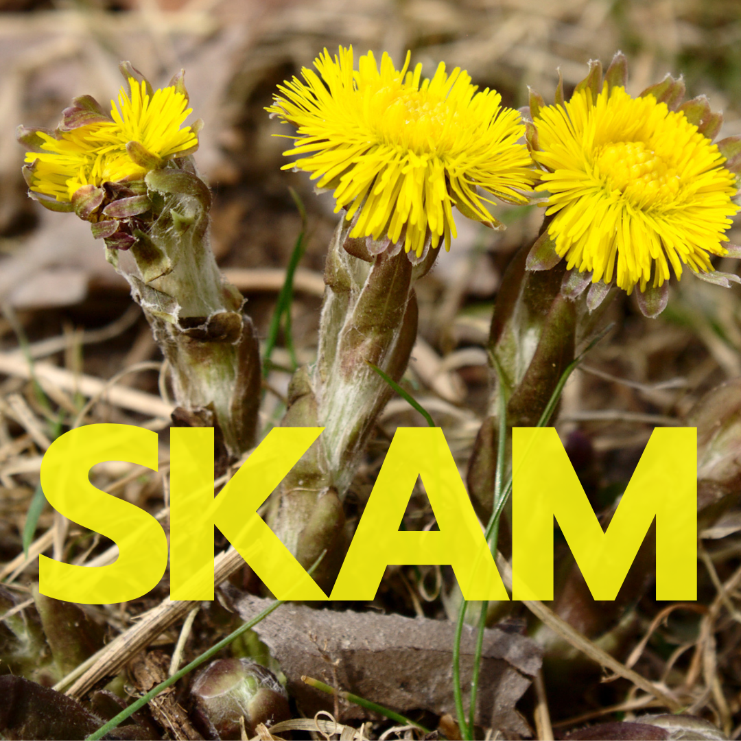 Bilde av hestehov og ordet "skam" i store bokstaver.