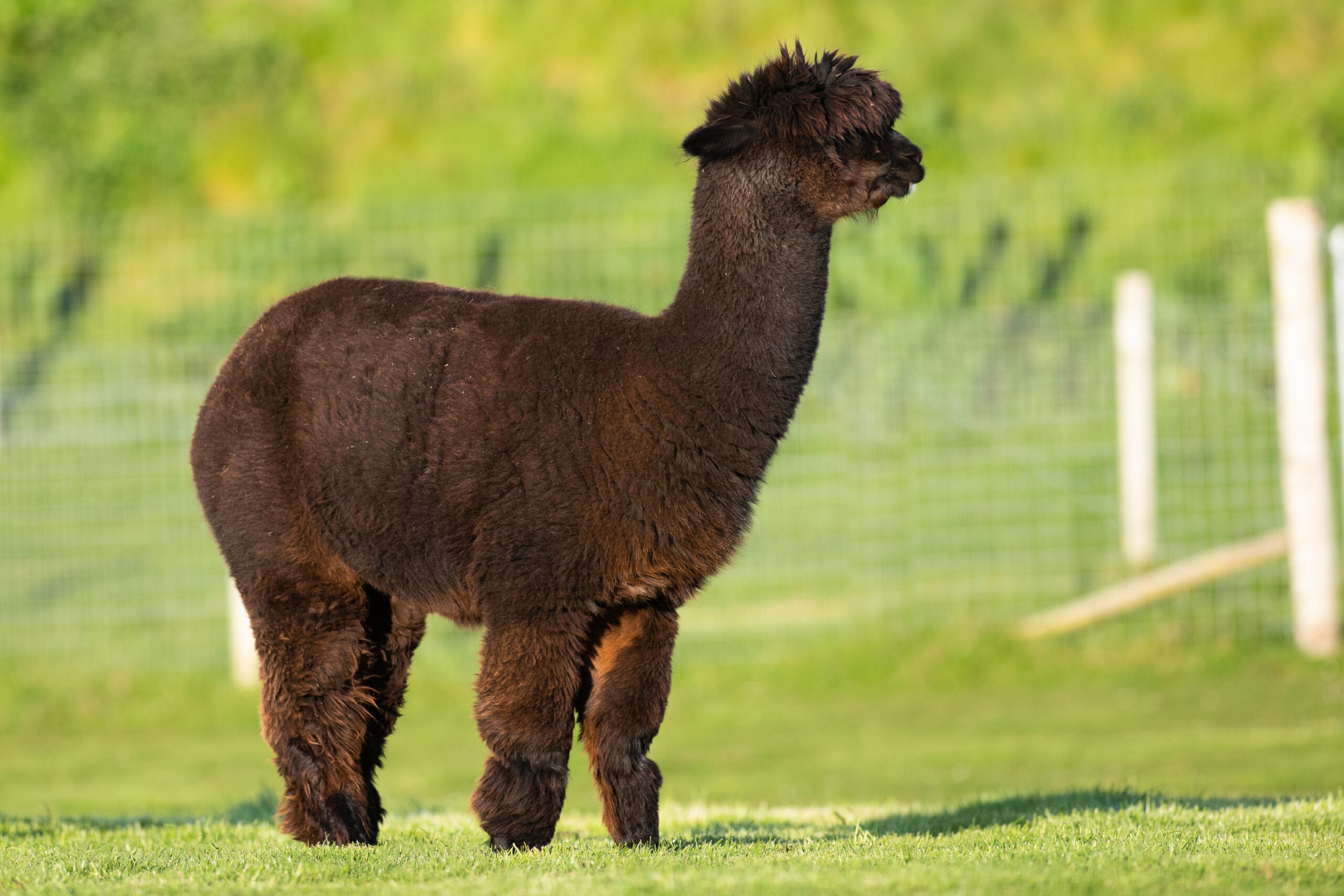 DSC_8906-scaled.jpg