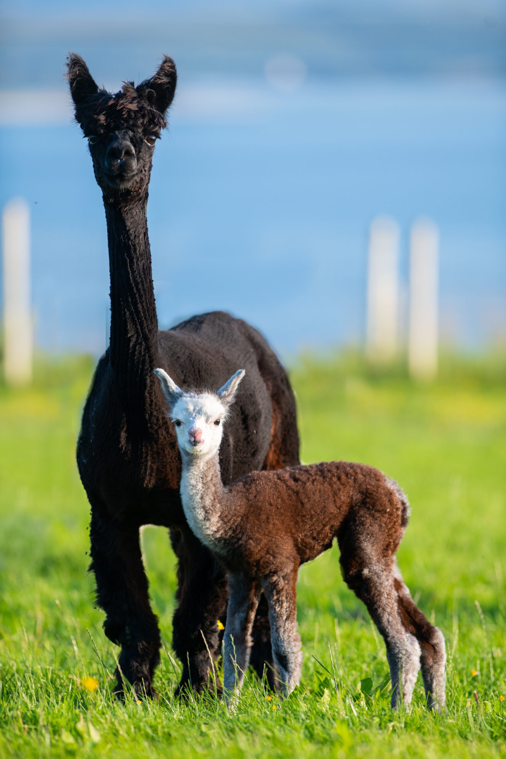DSC_0192-scaled.jpg