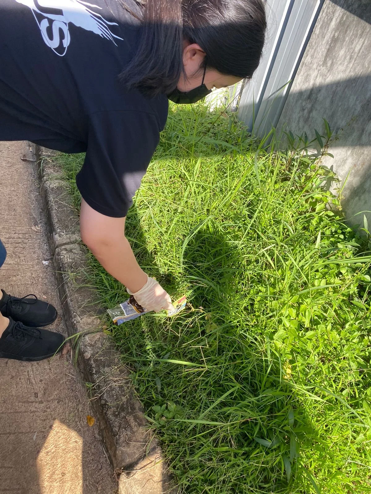 A person wearing black shoes, black clothes, and gloves is pulling weeds from a patch of tall, green grass next to a concrete slab and a metal fence.