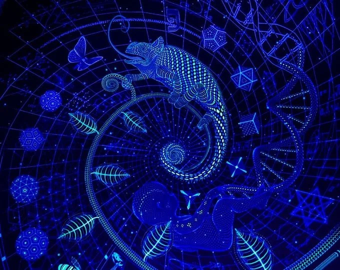 Sowa-Soma-Ayahuasca-Retreats-Costa-Rica-Ayahuasca-Visionary-Art-4.jpg