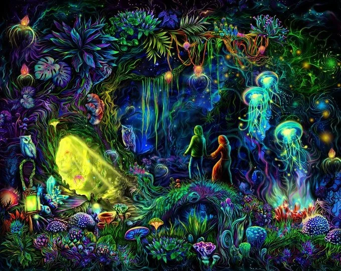 Sowa-Soma-Ayahuasca-Retreats-Costa-Rica-Ayahuasca-Visionary-Art-3.jpg