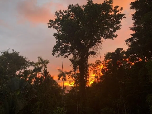 Sowa-Soma-Ayahuasca-Retreats-Costa-Rica-jungle-sunset.jpg
