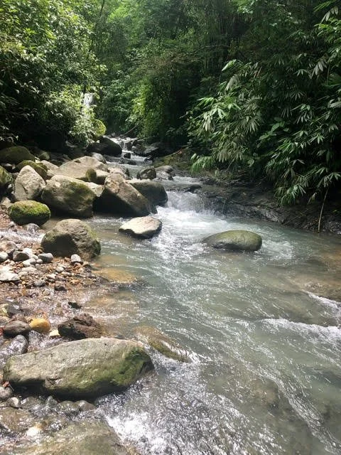 Sowa-Soma-Ayahuasca-Retreats-Costa-Rica-waterfall-rocks-river.jpg