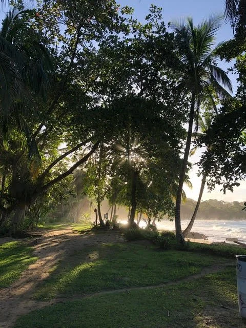 Sowa-Soma-Ayahuasca-Retreats-Costa-Rica-jungle-sunrise-2.jpg
