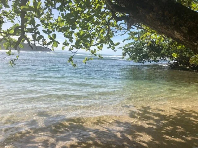 Sowa-Soma-Ayahuasca-Retreats-Costa-Rica-ocean-beach.jpg
