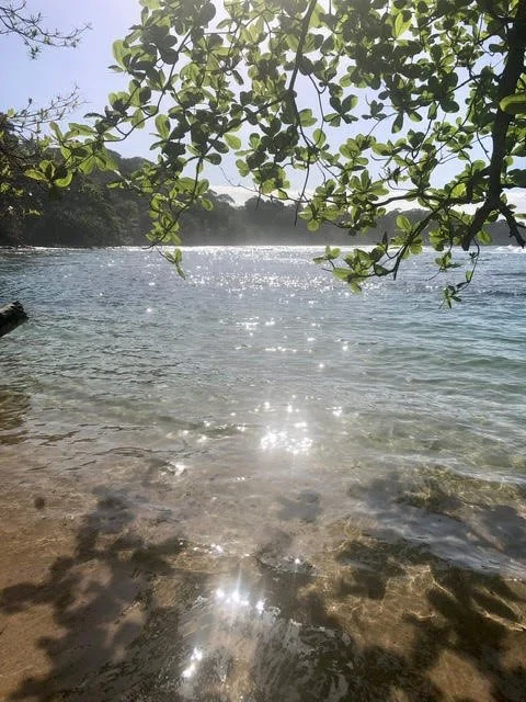 Sowa-Soma-Ayahuasca-Retreats-Costa-Rica-ocean-beach-shore.jpg