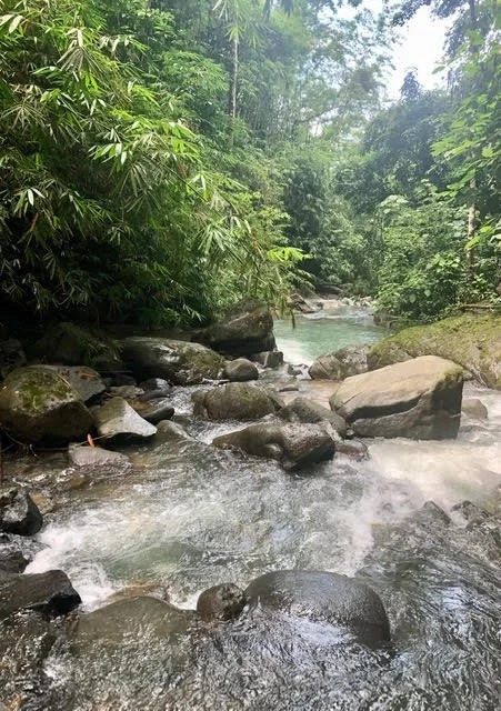 Sowa-Soma-Ayahuasca-Retreats-Costa-Rica-waterfall-rocks-jungle.jpg