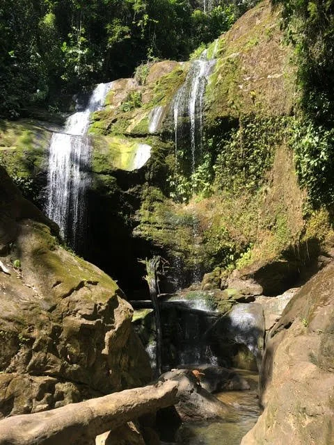 Sowa-Soma-Ayahuasca-Retreats-Costa-Rica-jungle-waterfall.jpg