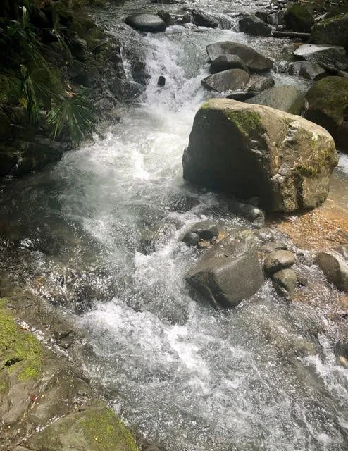 Sowa-Soma-Ayahuasca-Retreats-Costa-Rica-waterfall-rocks.jpg