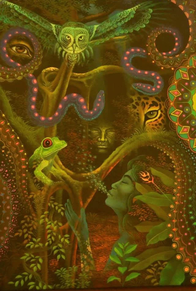 drinking ayahuasca is not without its risks