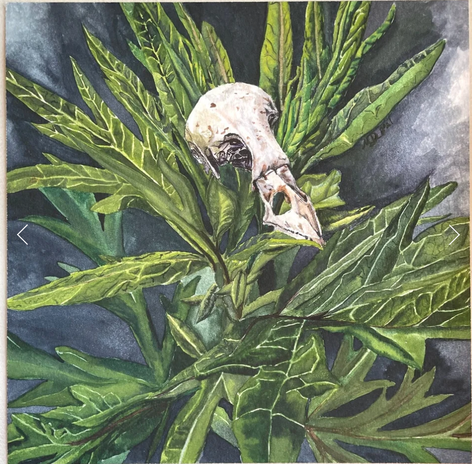 THE MAGIC OF MUGWORT