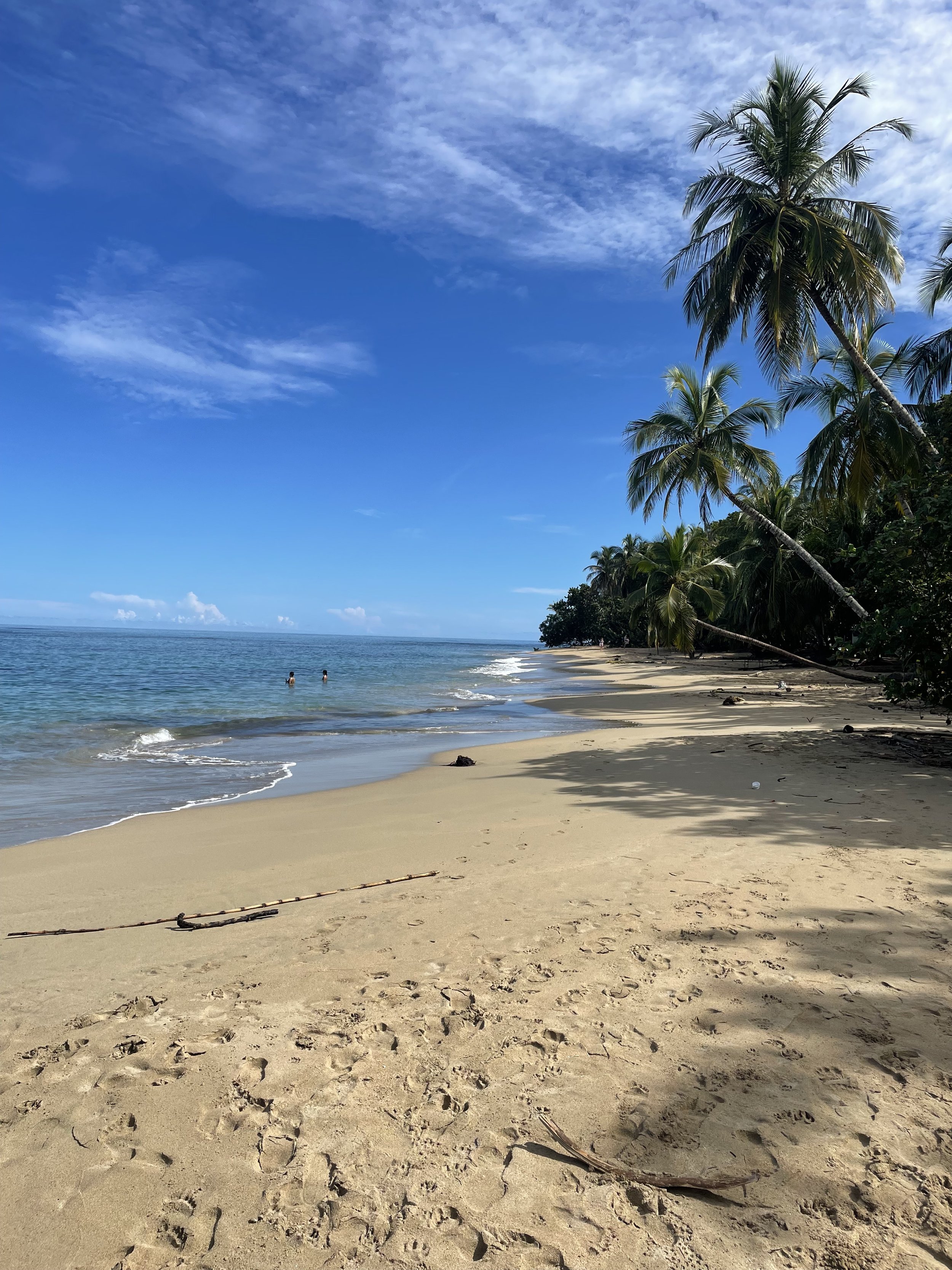 White beaches lined by jungle at Playa Arricife 