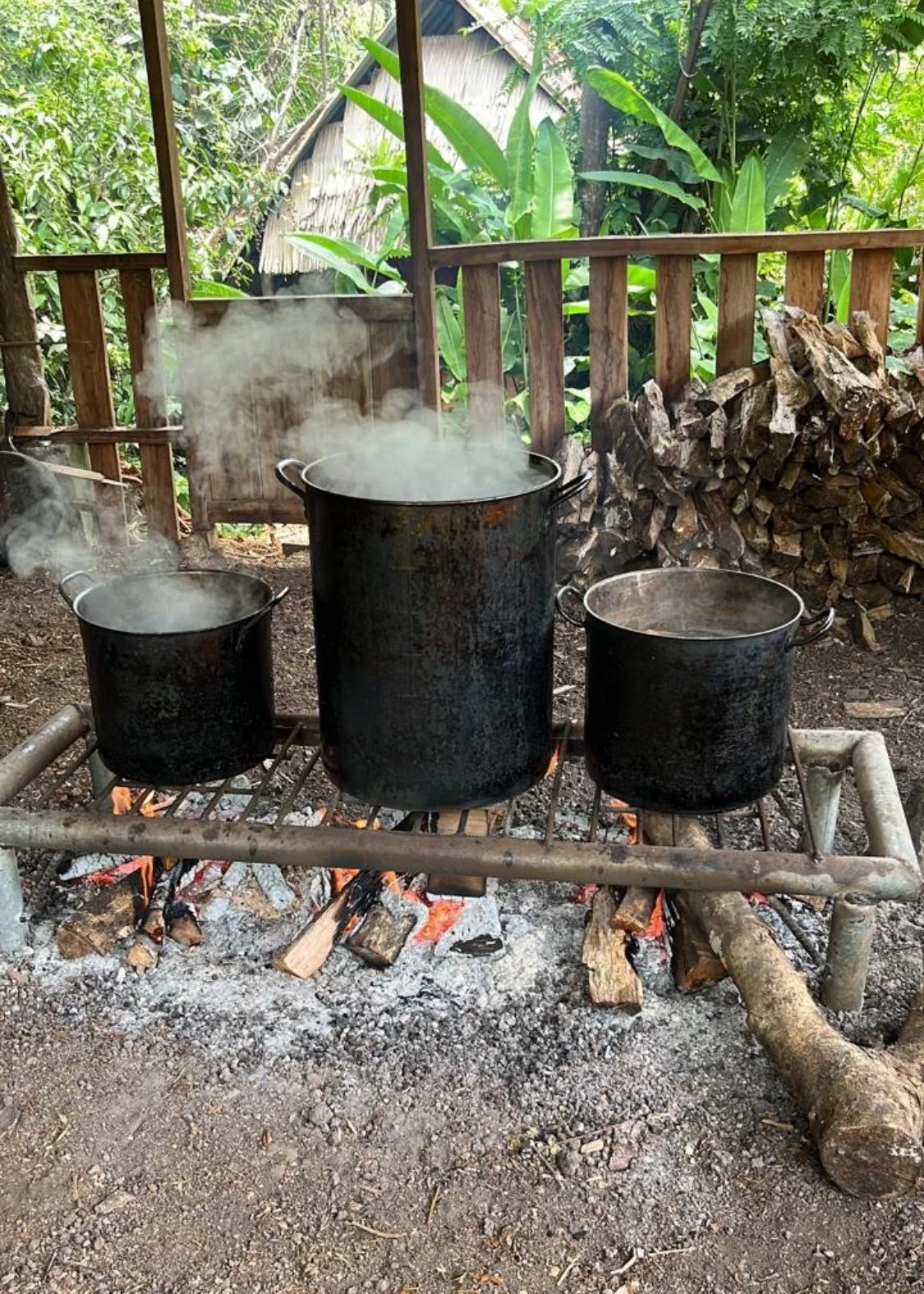Ayahuasca being made on an open fire 