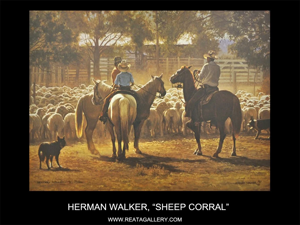 Sheep Corral