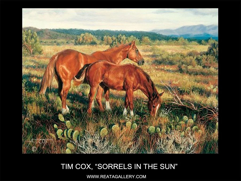 Sorrels in the Sun