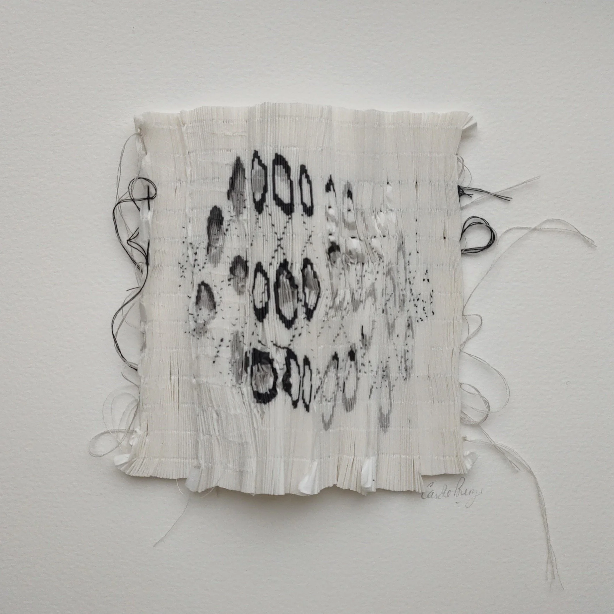 Carole Bury. Glacial Particles