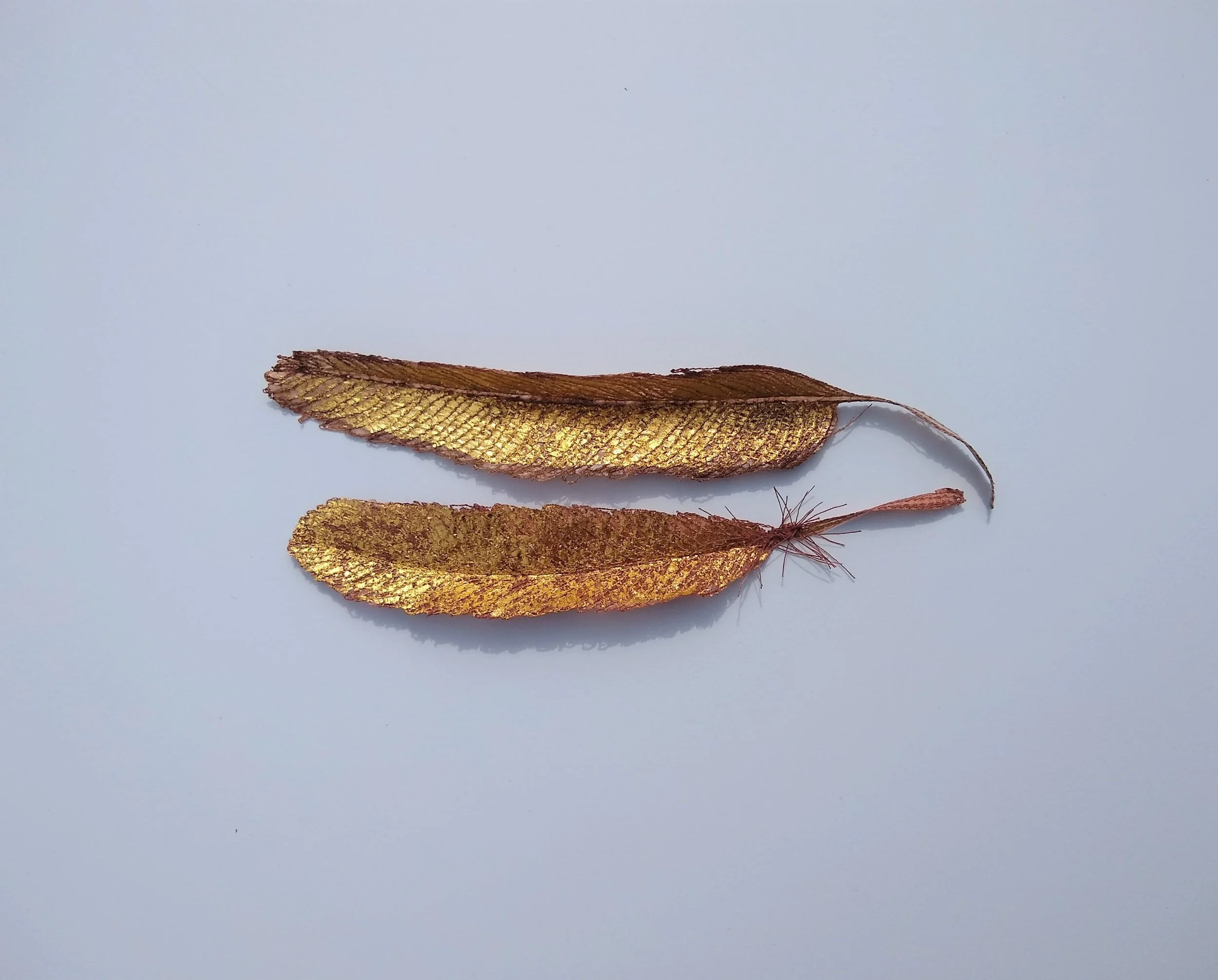 Carole Bury. Golden Flight Feathers.
Paper with machine embroidery, pigments and gold leaf.  Email BobCat Gallery Putney Exchange