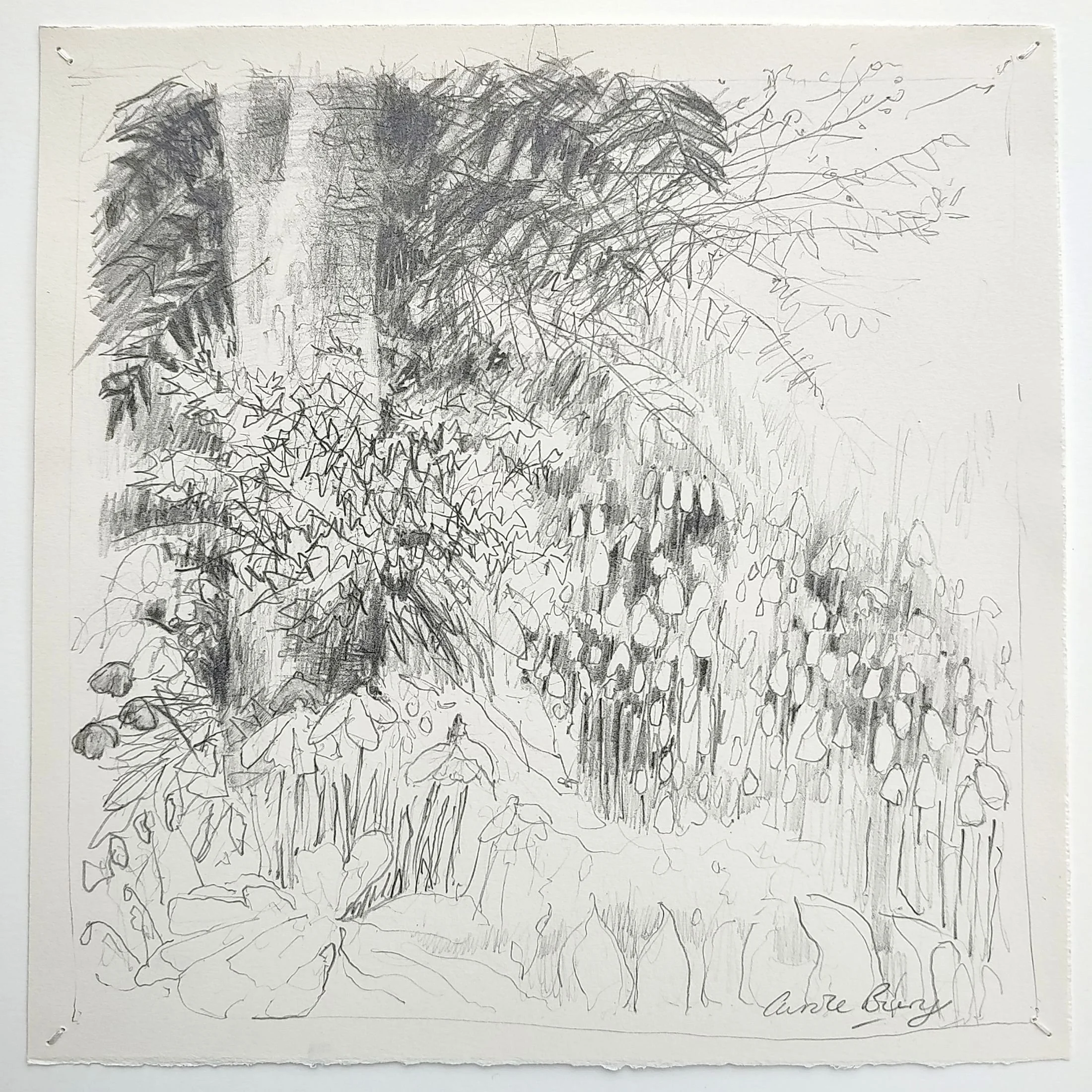 Carole Bury. 'Hidden Places'. drawing 20x20cm. framed 30 x 30cm.
RHS Chelsea - PURE FINE ART