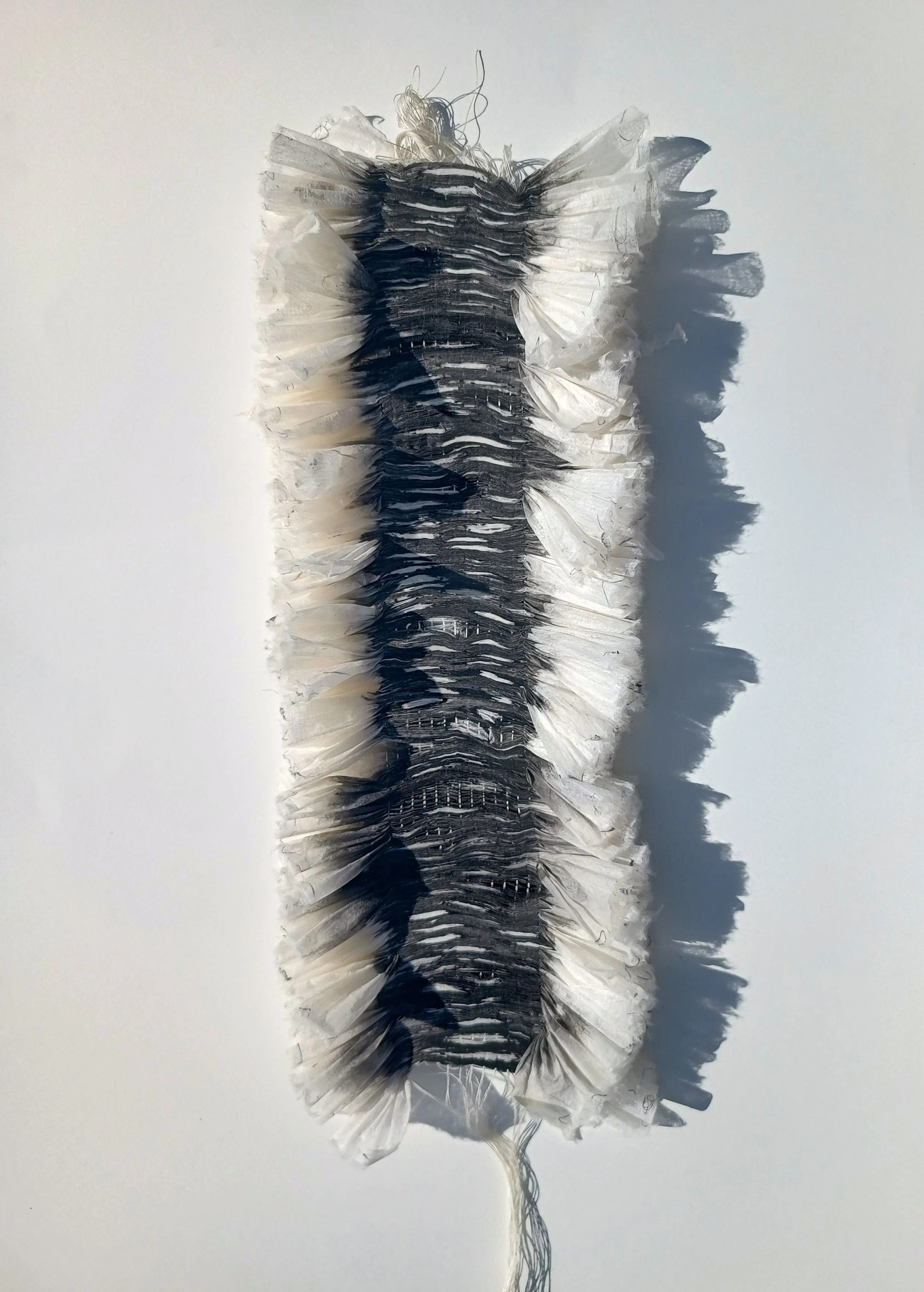 Carole Bury. Glade. pleated ink drawing