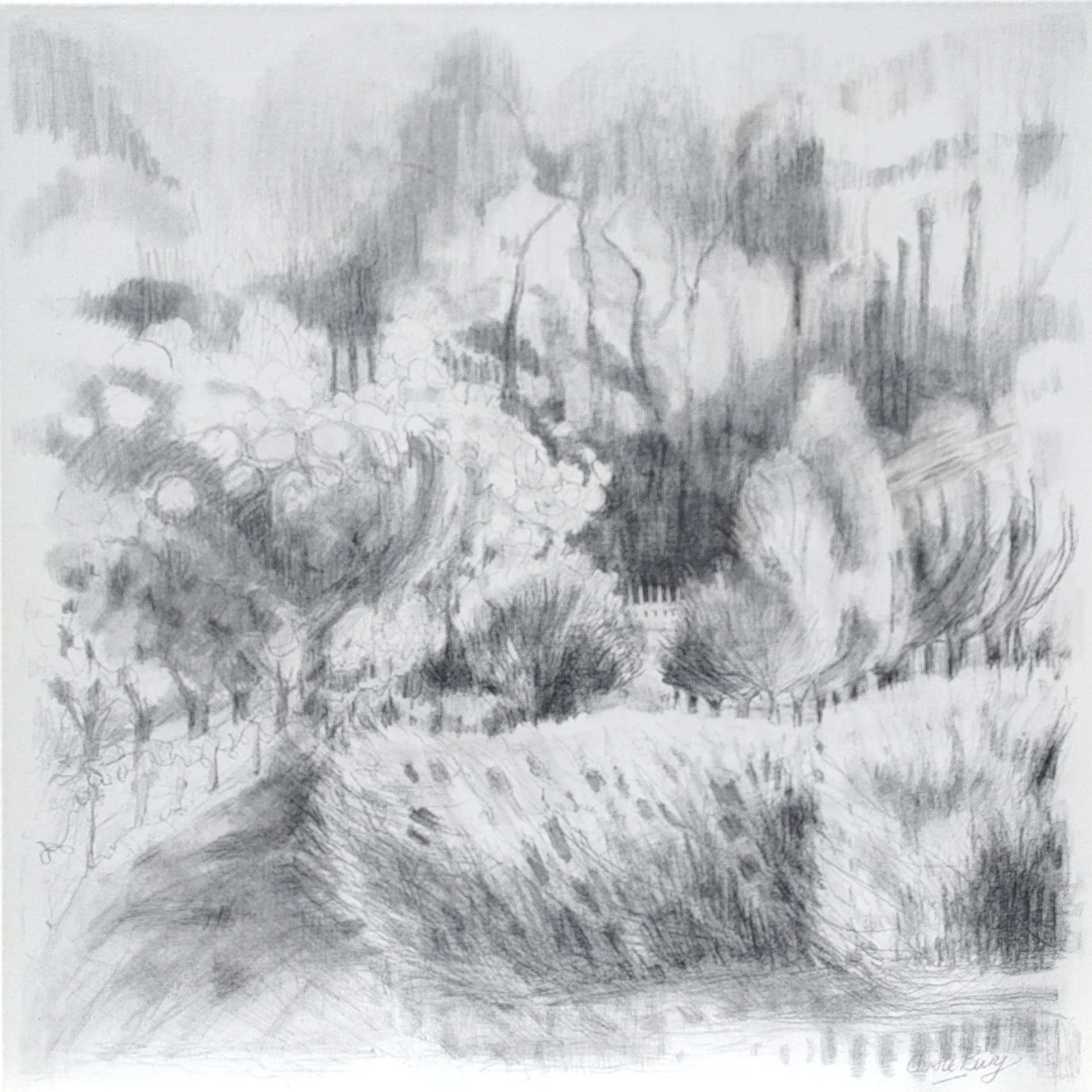 Carole Bury. Shelter