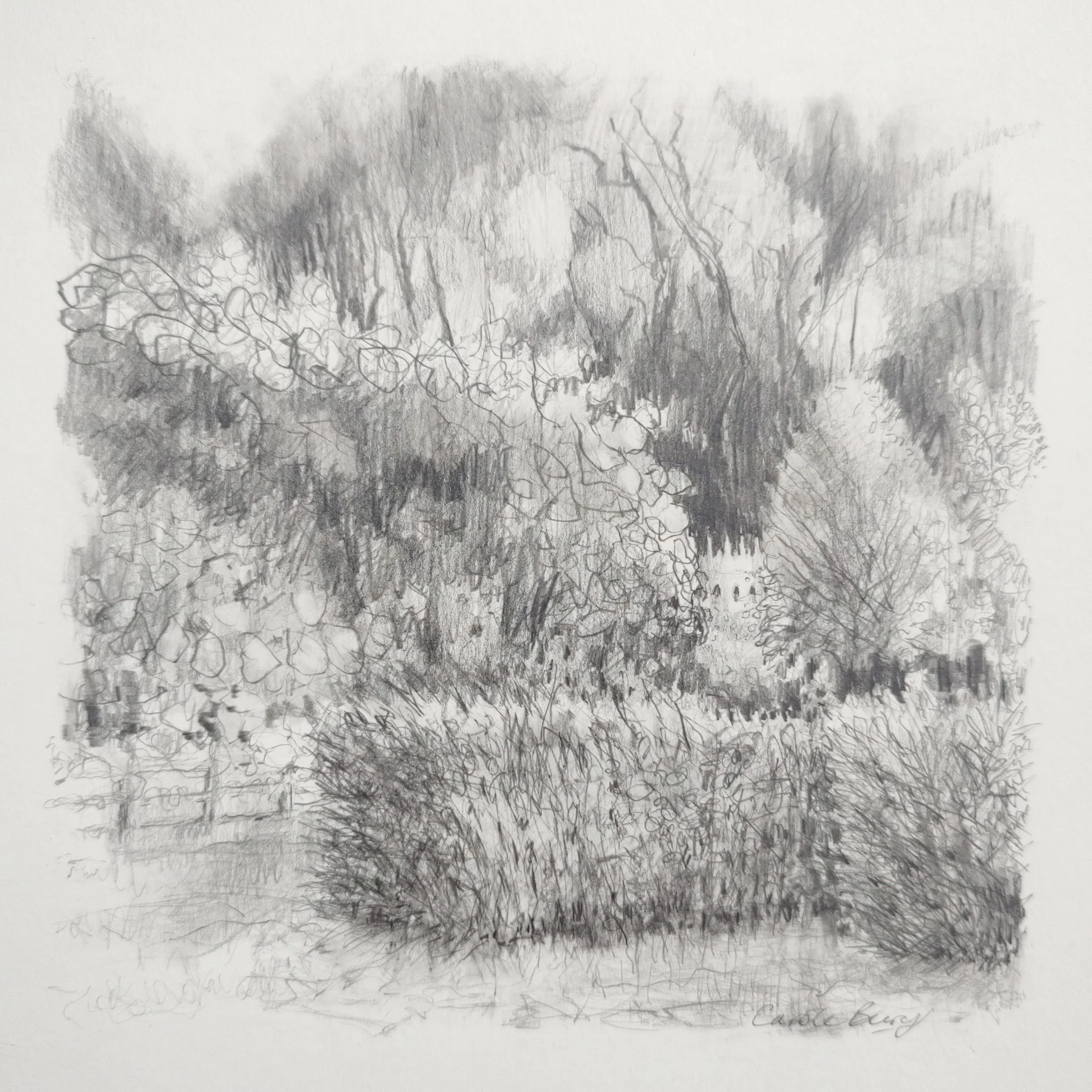 Carole Bury - RHS Chelsea Flower Show