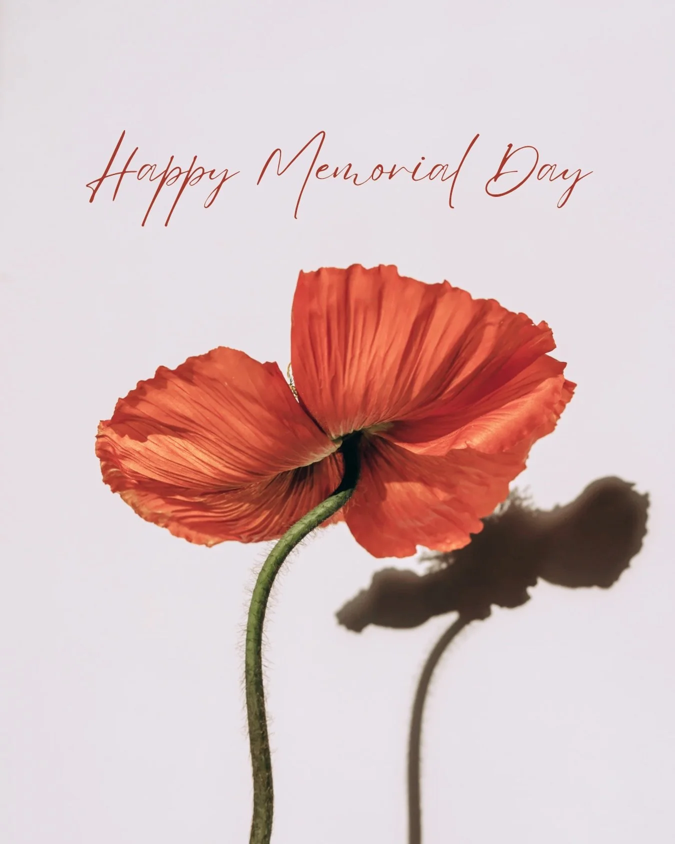 Beyond the barbecues and gatherings, Memorial Day is a time to reflect on the courage and sacrifices of military service members. Today we hold space for remembrance, gratitude, and community.