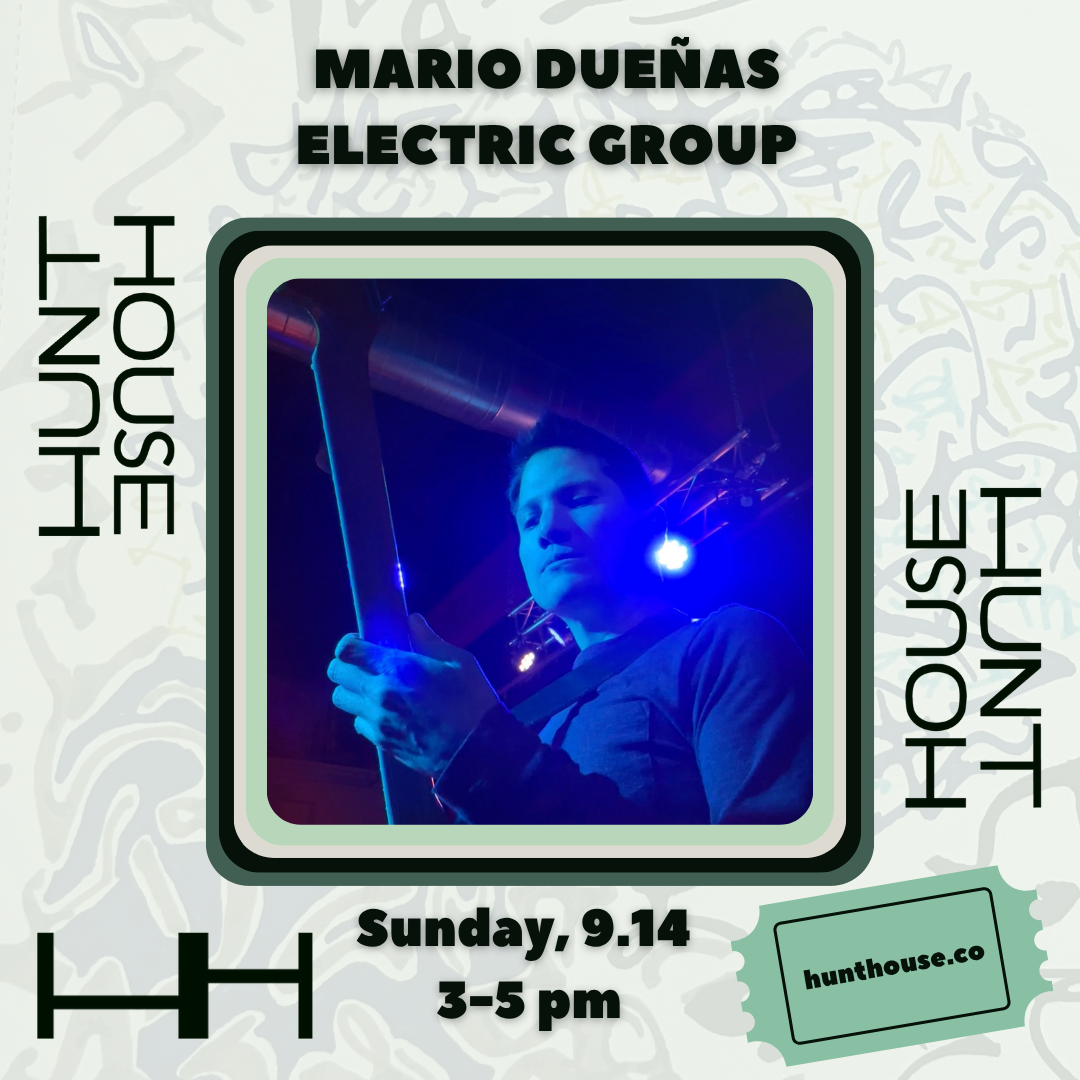 Mario Dueñas Electric Group