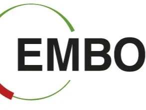 Screen Shot 2022-09-30 at 11.45.20 AM.jpg