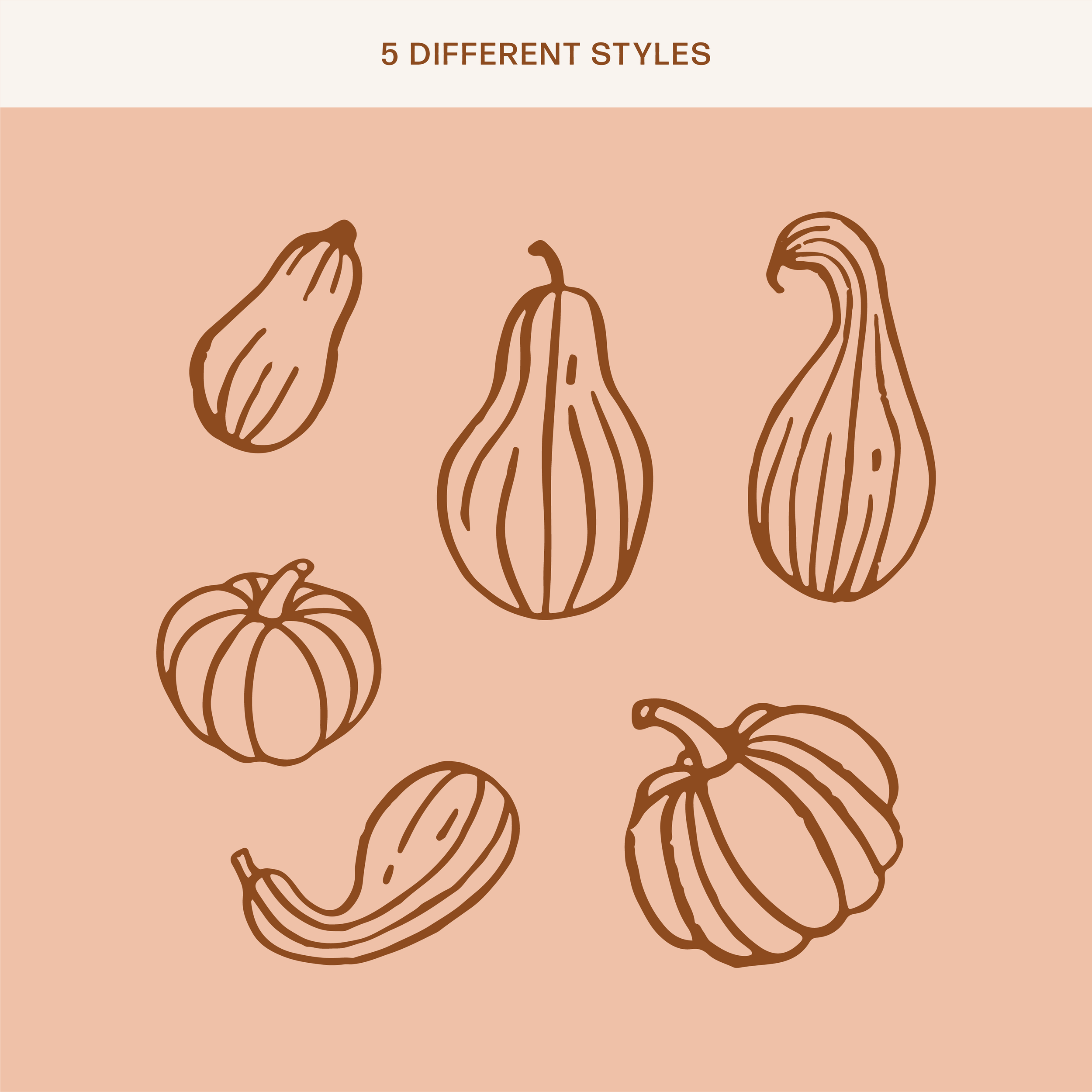 Pumpkin Download-07.png
