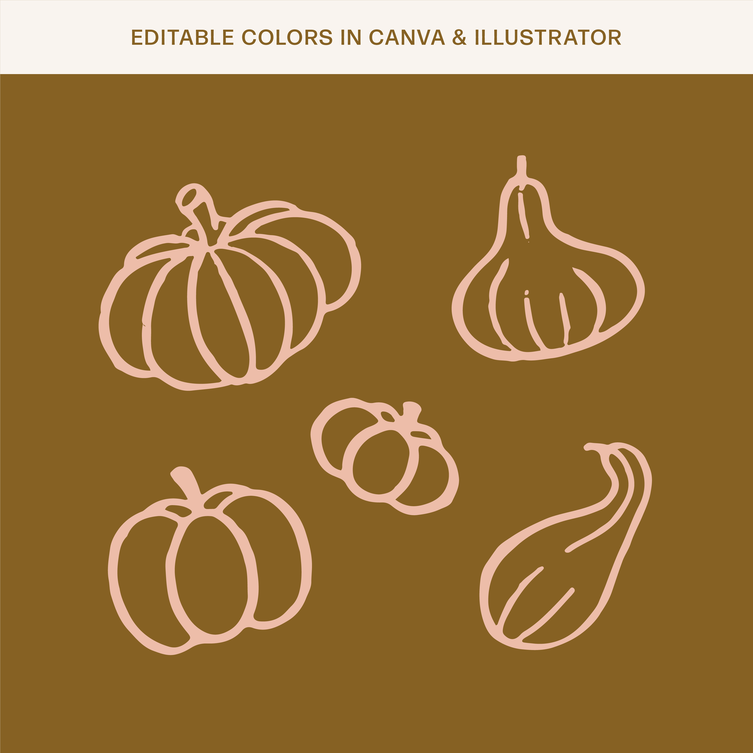 Pumpkin Download-06.png