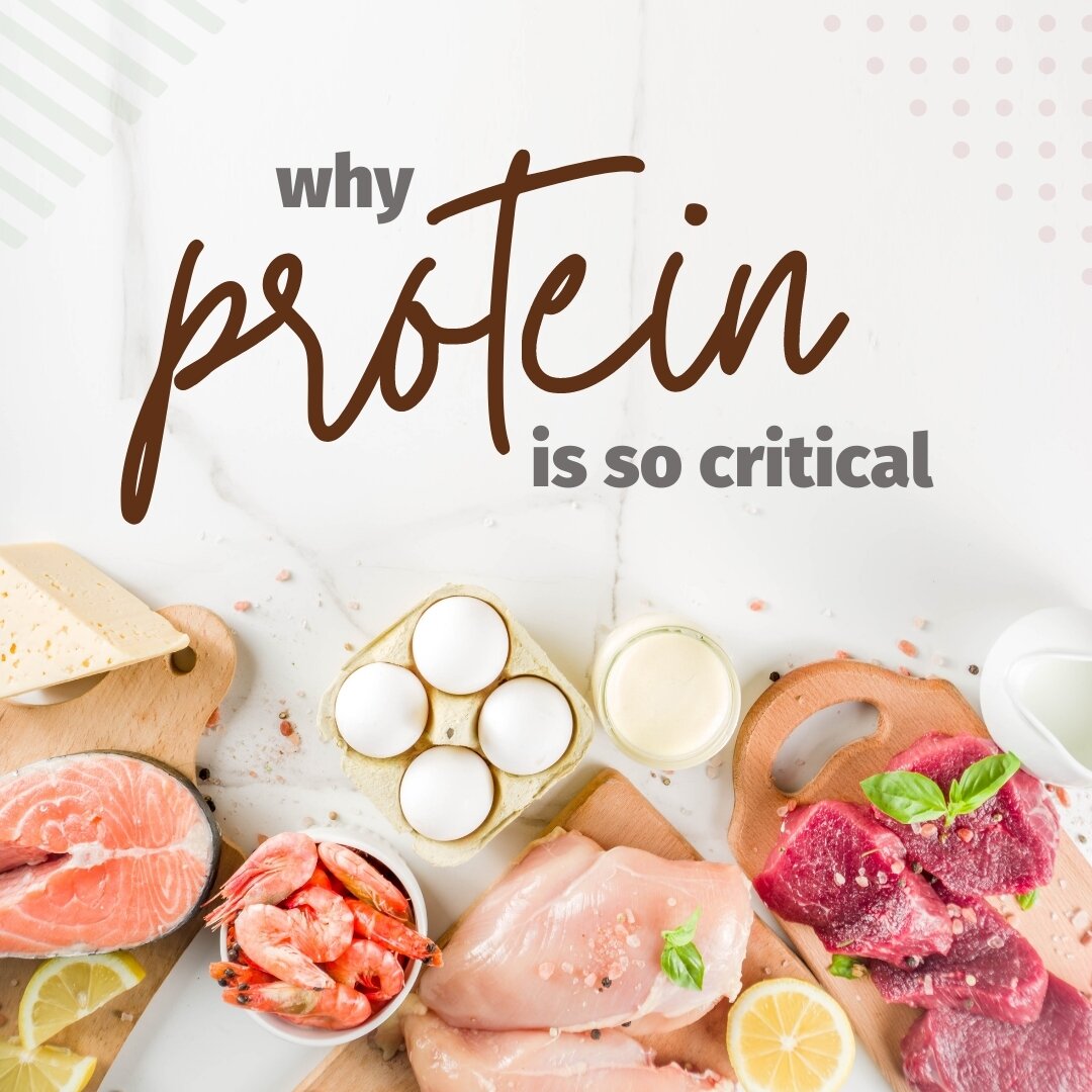 Protein is an essential nutrient that is vital for our overall health and well-being, especially for women. 💪 It plays a critical role in building and repairing tissues, supporting a healthy immune system, and maintaining proper hormone levels. But 