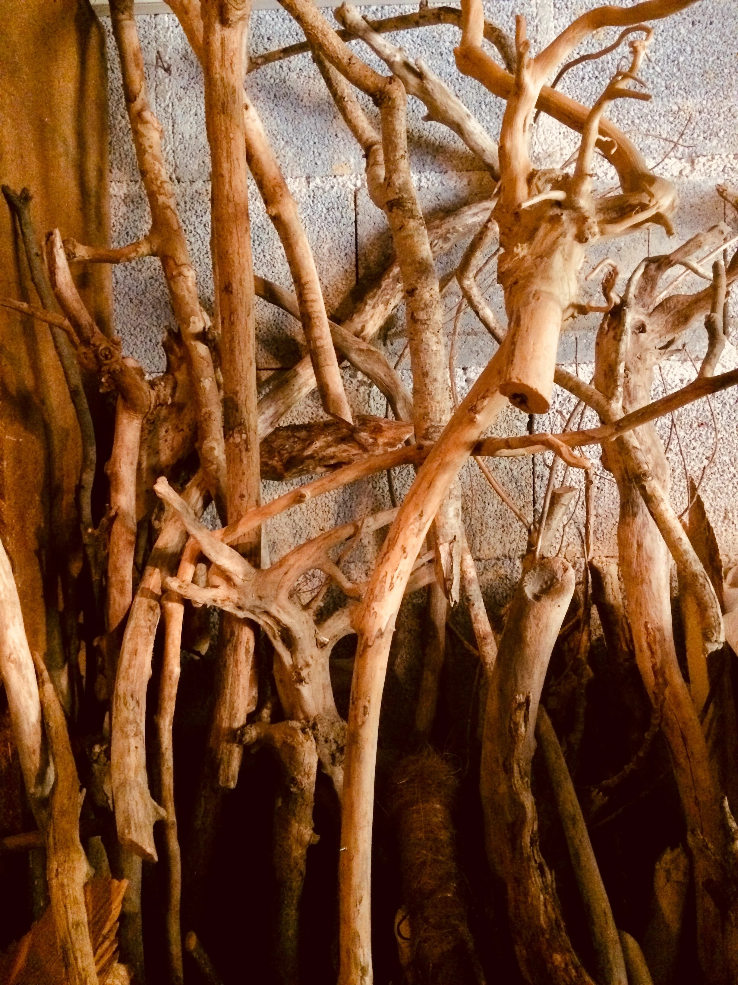 1-recherche matiere BOIS.JPG