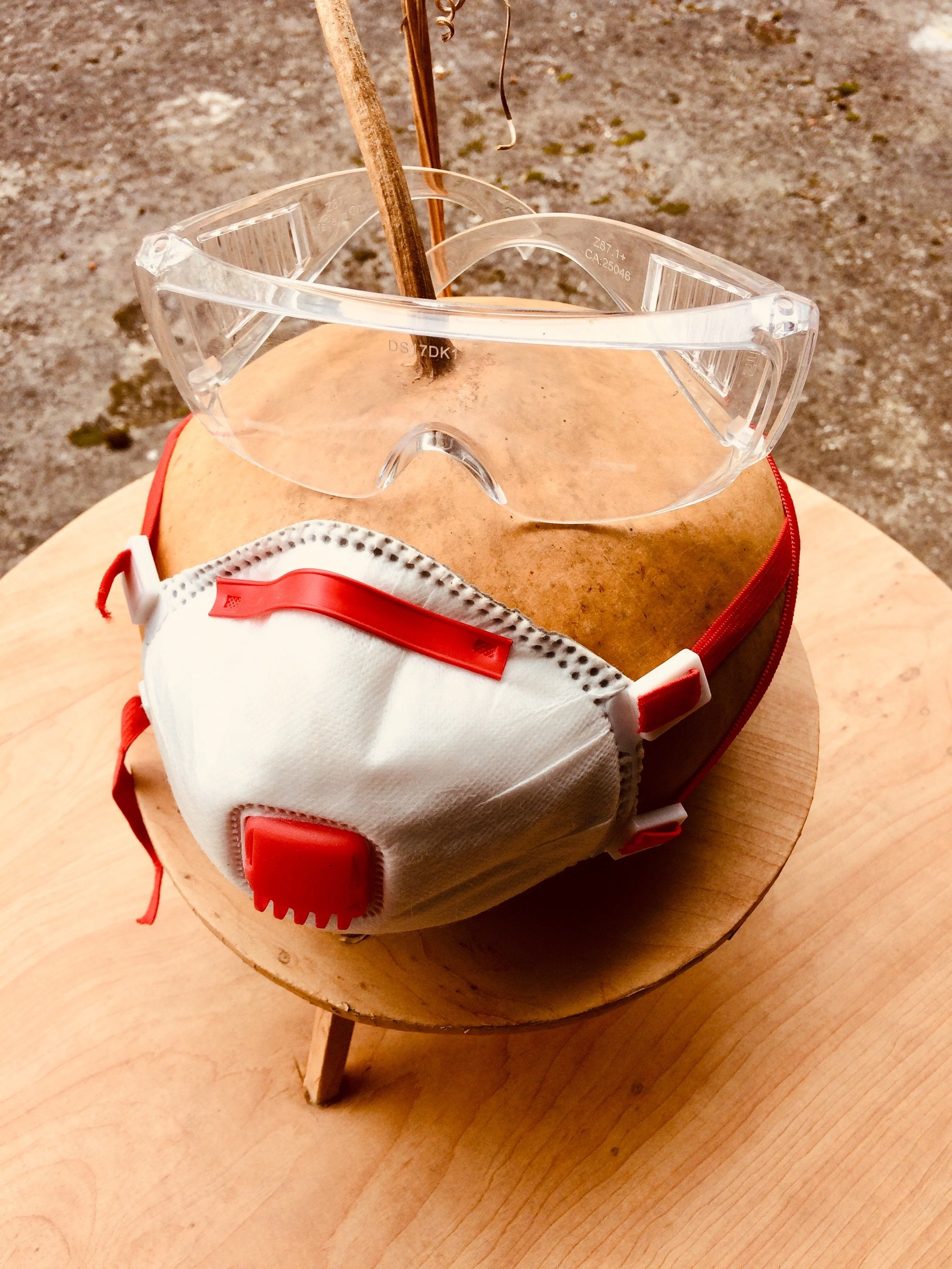 2.1.1 HUMOUR masque-lunettes.JPG