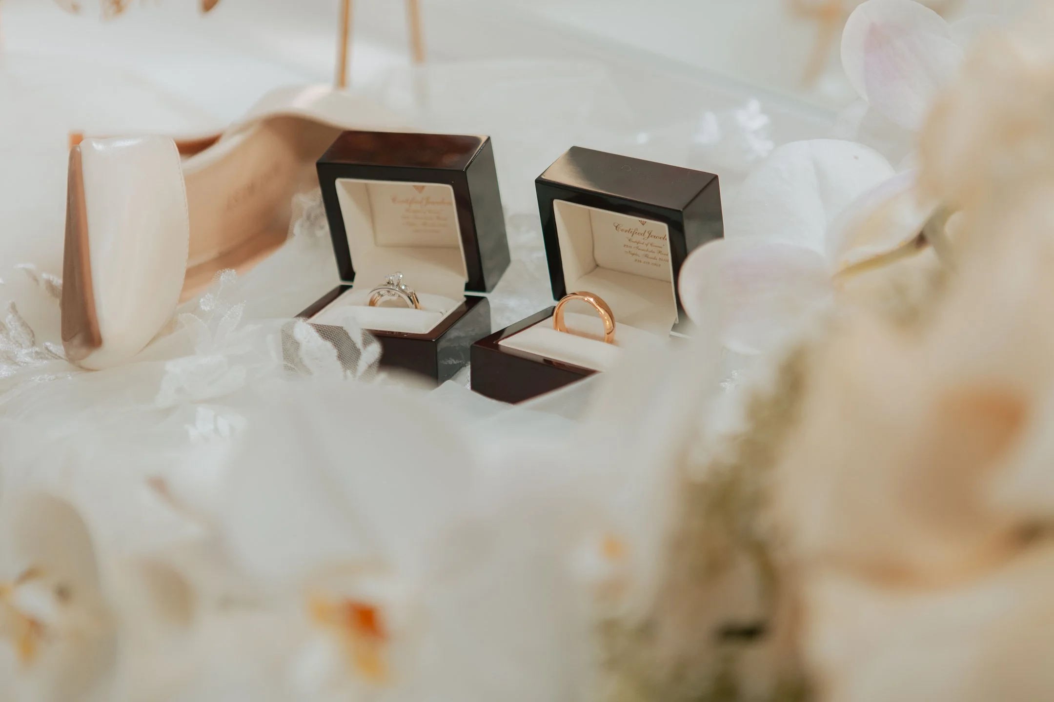 Two jewelry rings displayed in open black and white boxes, surrounded by white flowers.