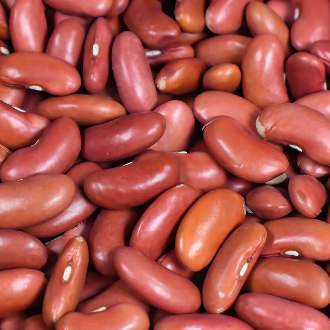 Discover Plant-Based Protein Sources and My Three Bean Chili Recipe from Kenny’s Vegetarian Kitchen