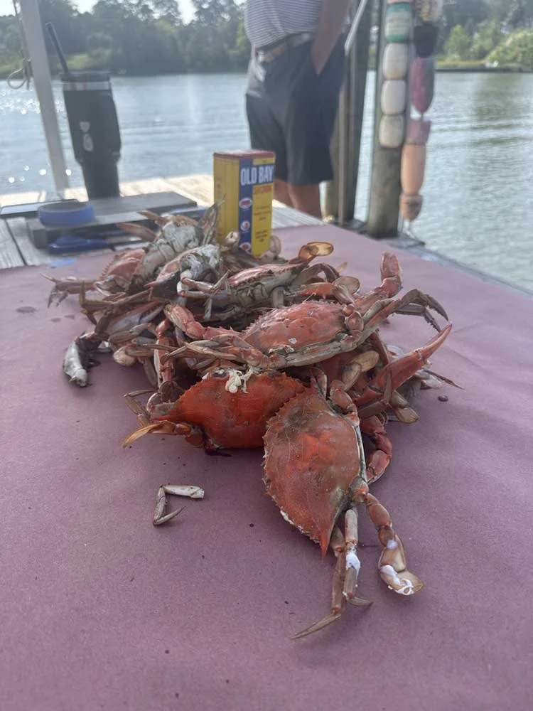 Virginia River Realm - Bethesda