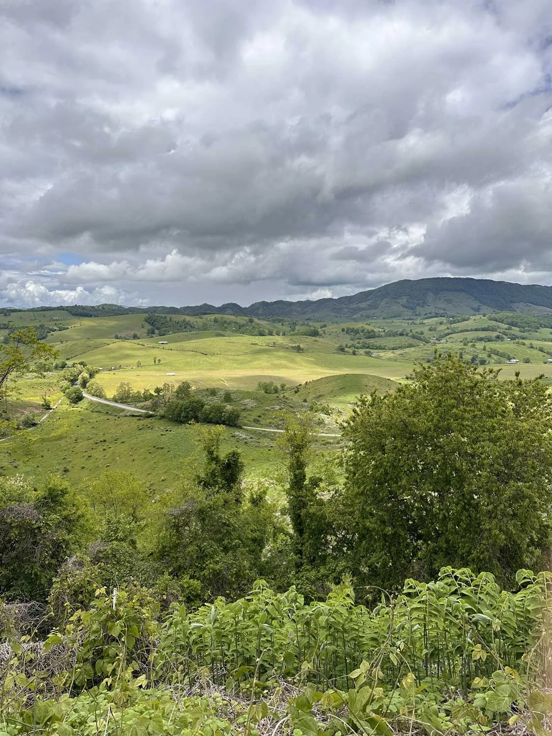 Virginia Living - Tazewell