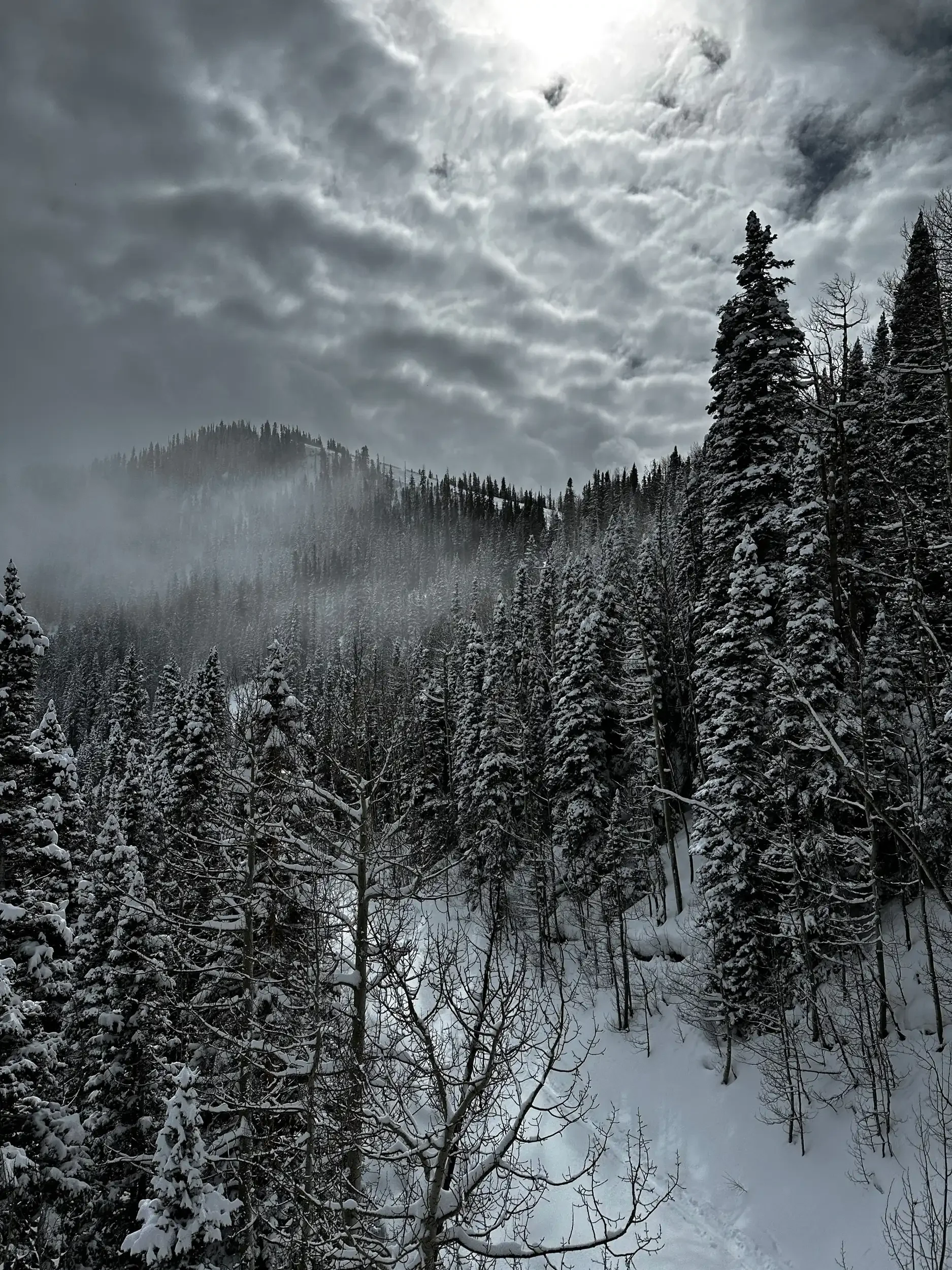 winter wonderland on a mountain