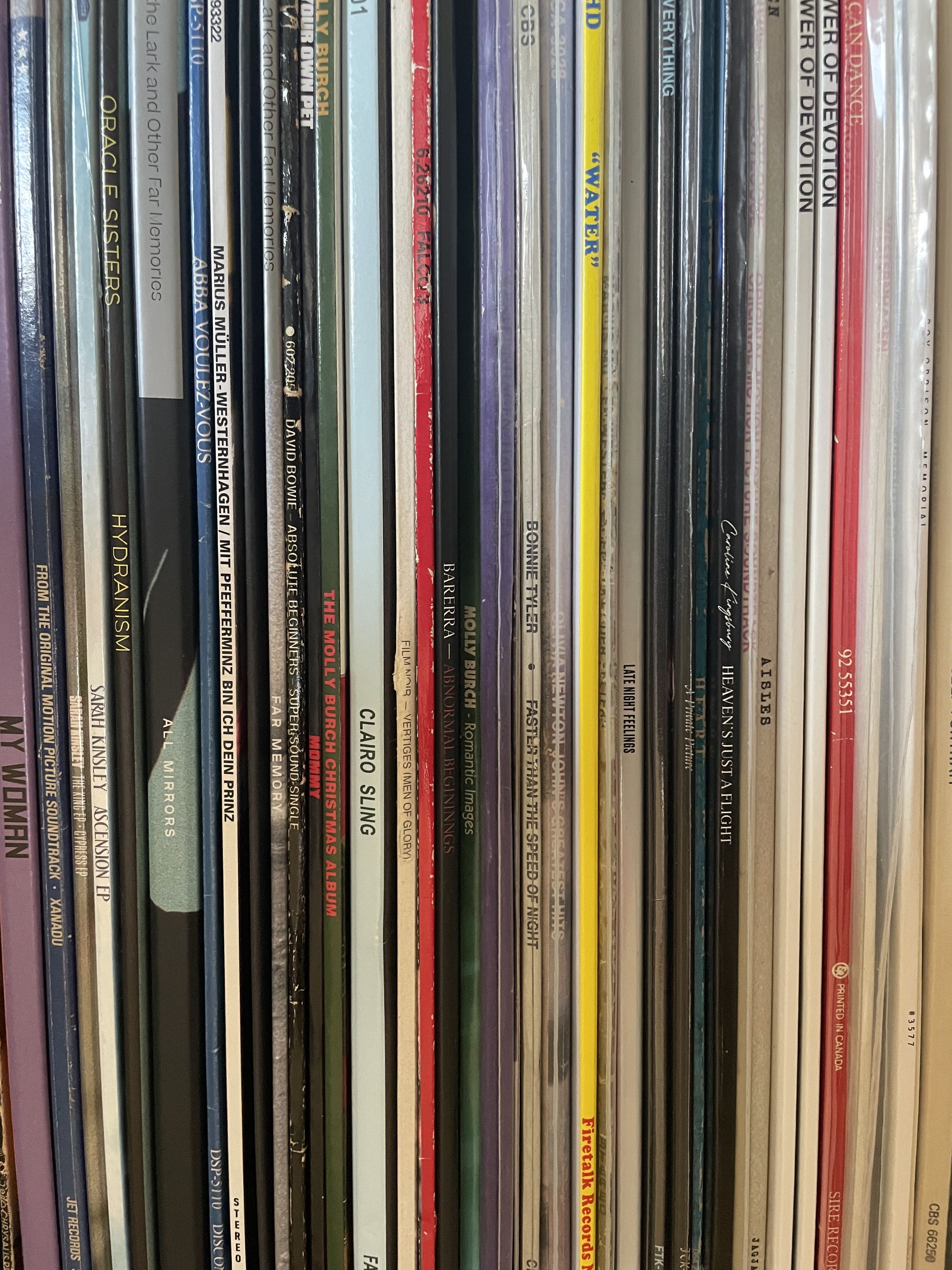 record collection.png (Copy)