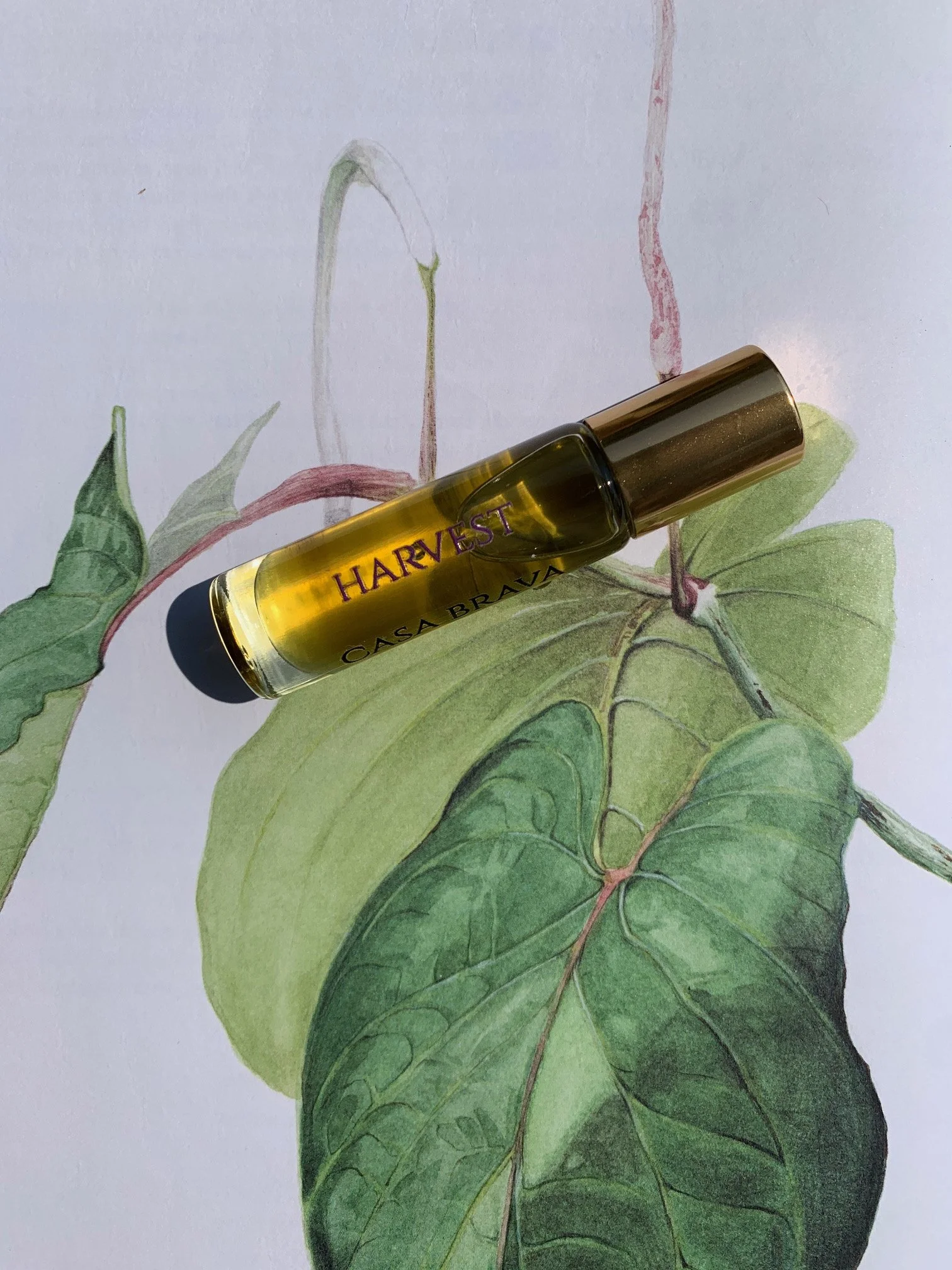 HARVEST Perfume Oil-Summer Season 2026