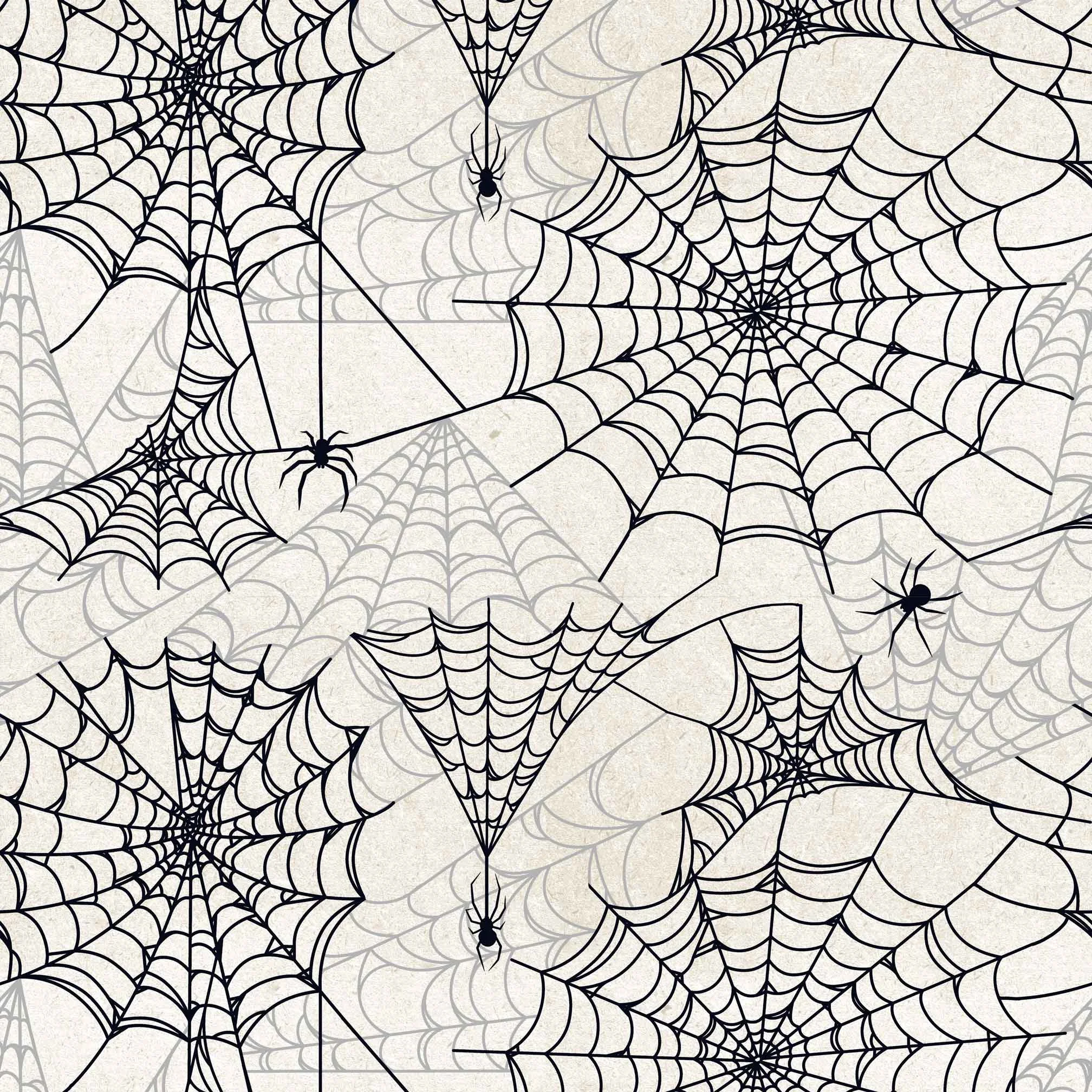 Spiderwebs.jpg