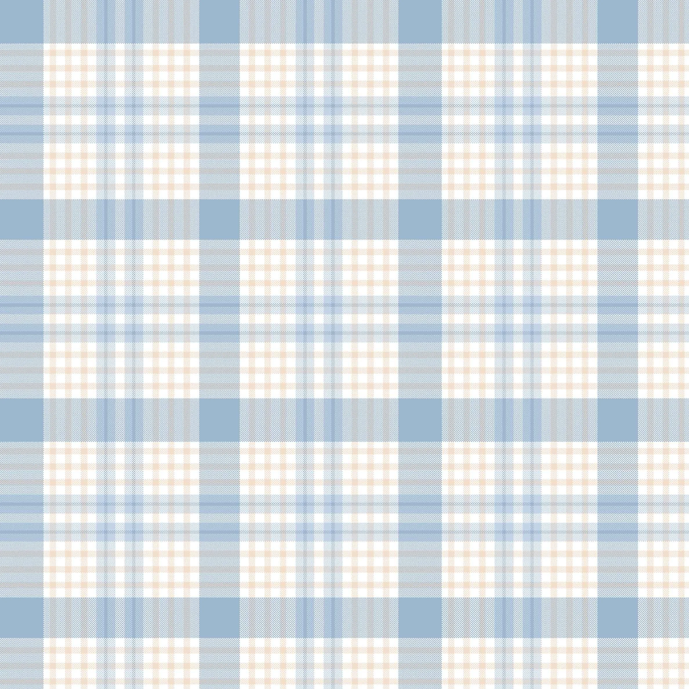 Conor-Plaid-Blue.jpg