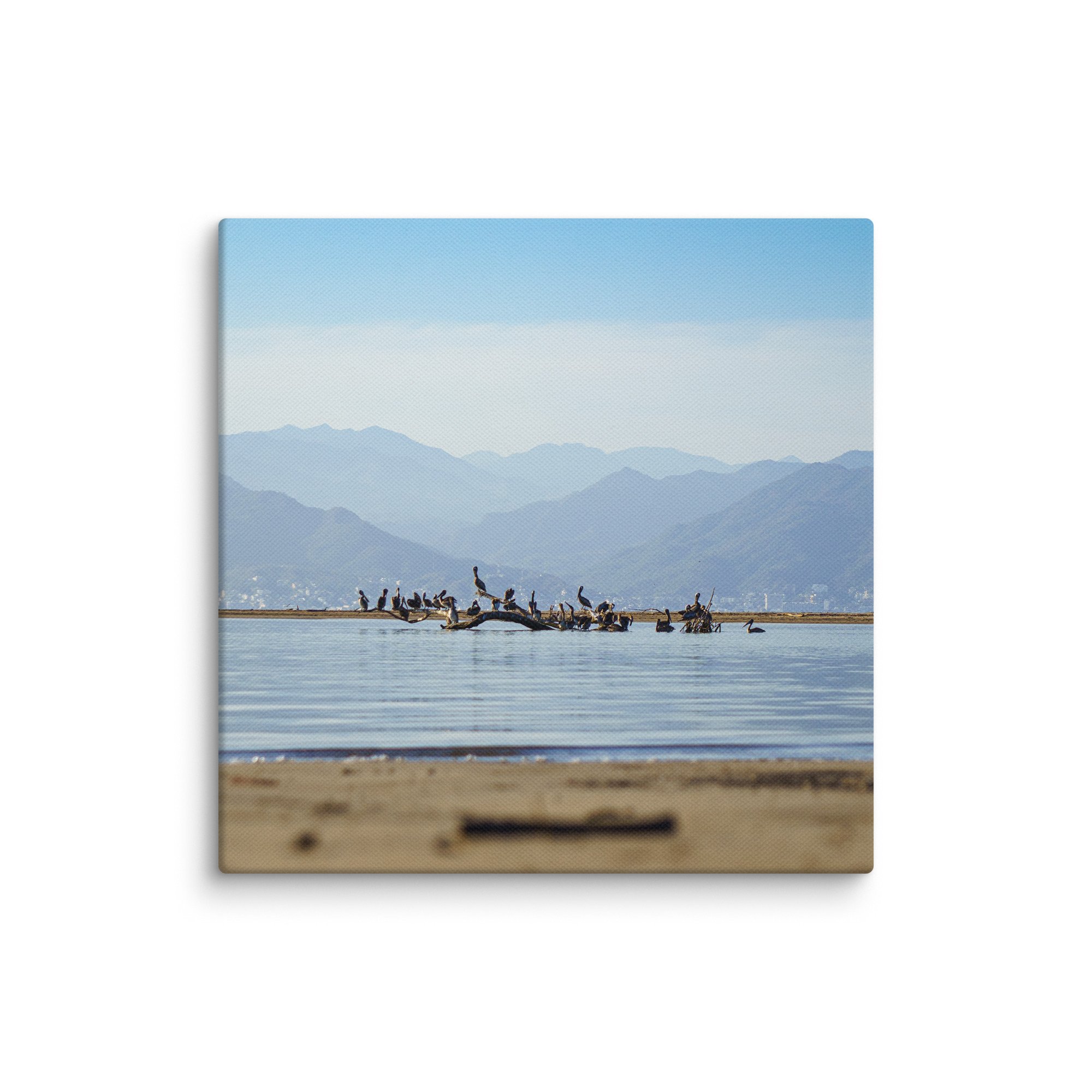 canvas-(in)-10x10-wall-67e7502ac7c38.jpg