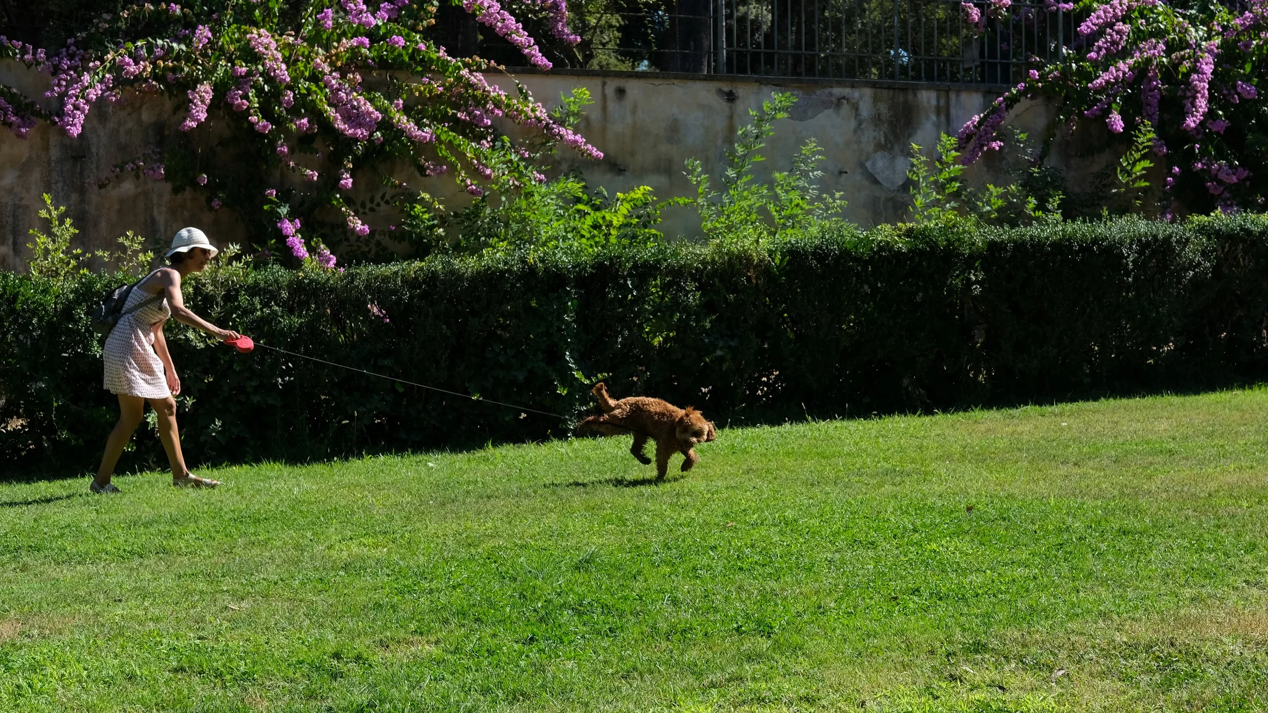 DSCF1663.jpg